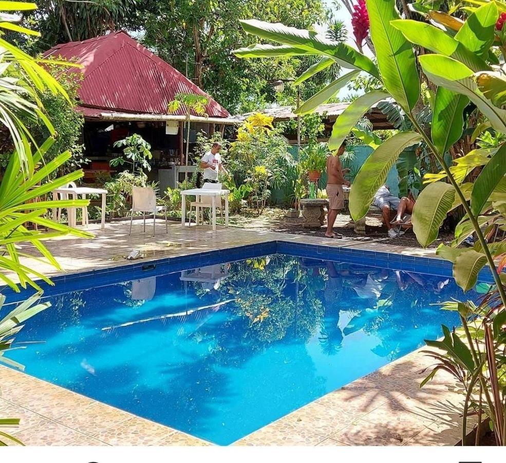Bambu Hostel David Ngoại thất bức ảnh
