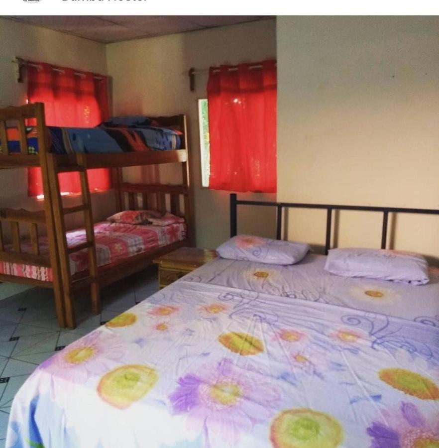 Bambu Hostel David Ngoại thất bức ảnh
