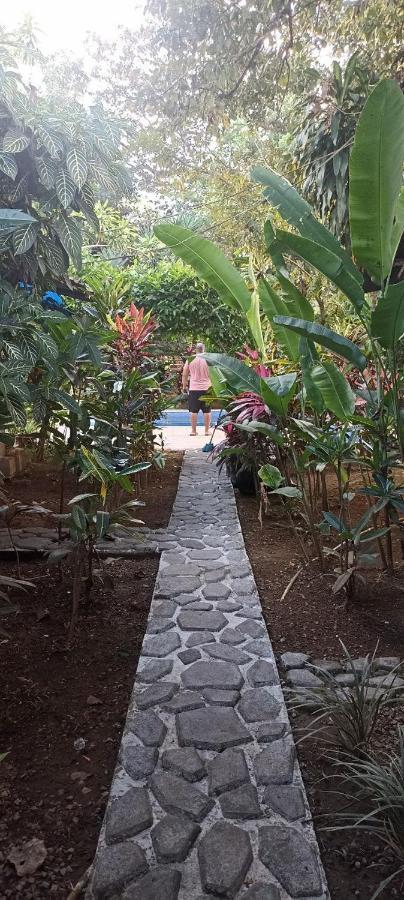 Bambu Hostel David Ngoại thất bức ảnh