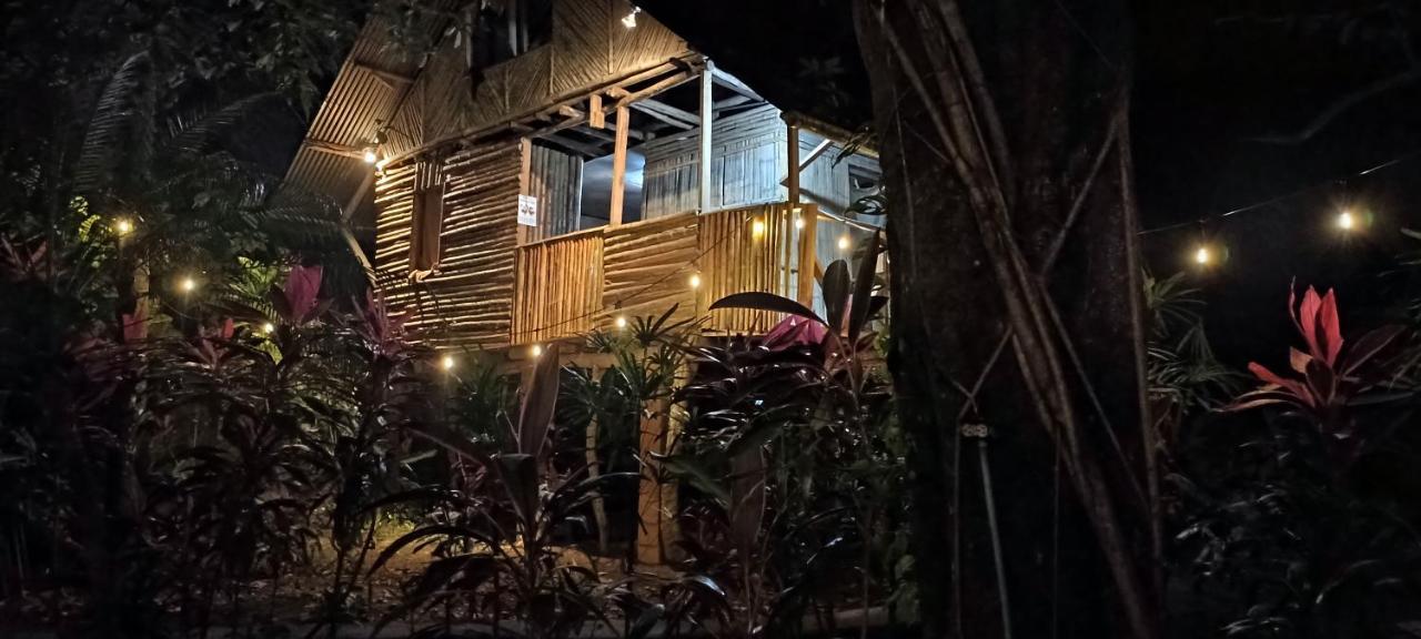 Bambu Hostel David Ngoại thất bức ảnh