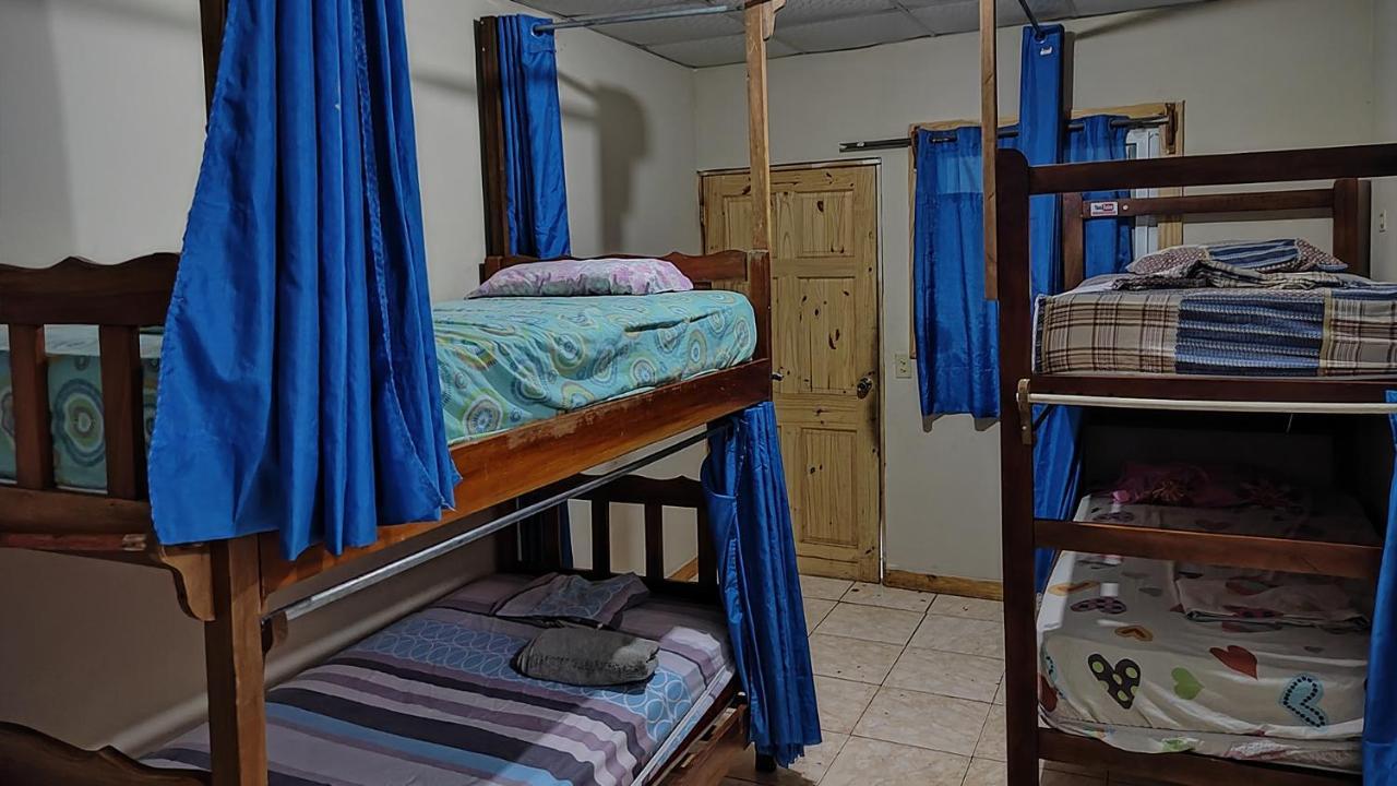 Bambu Hostel David Ngoại thất bức ảnh